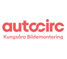 Kungsåra Bildemo